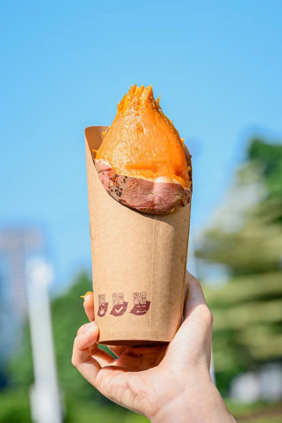 粒上皇香甜板栗,粒上皇25元现炒板栗团购价15.9元