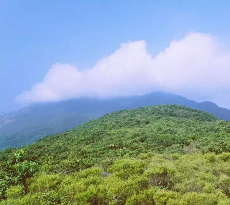 藏在广东的7个神秘小众海岛，美景如画！你听过5个算我输