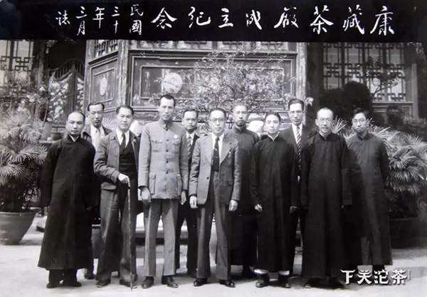 普洱沱茶知识,20年老普洱茶介绍语句