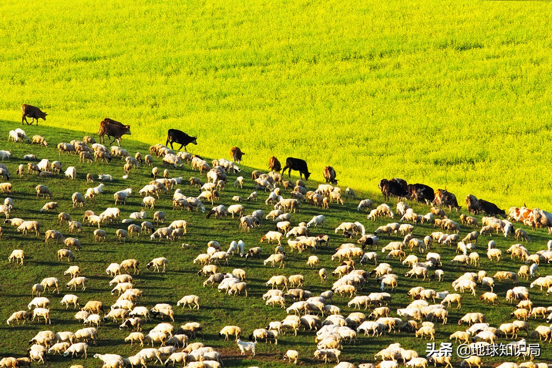 如何起一个蒙古族名字,起个最长的蒙古族名字