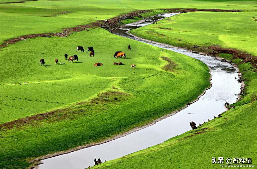 有高原特殊水质的辅助,藏族人每天吃肉和酥油,却很少有“三高”