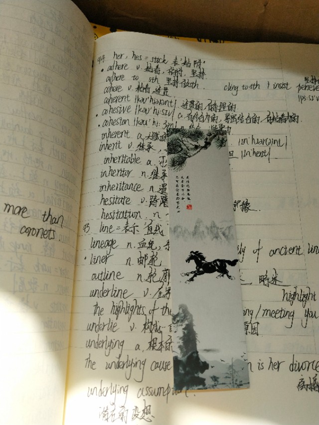 难忘的考研故事,一个流水账似的考研故事