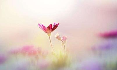 最艰难的时候熬过去就好,最艰难的时刻坚持