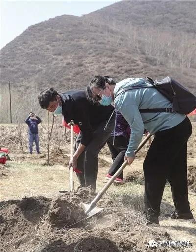 乡村振兴果树种植基地建设项目,种植经济林吹响乡村振兴冲锋号