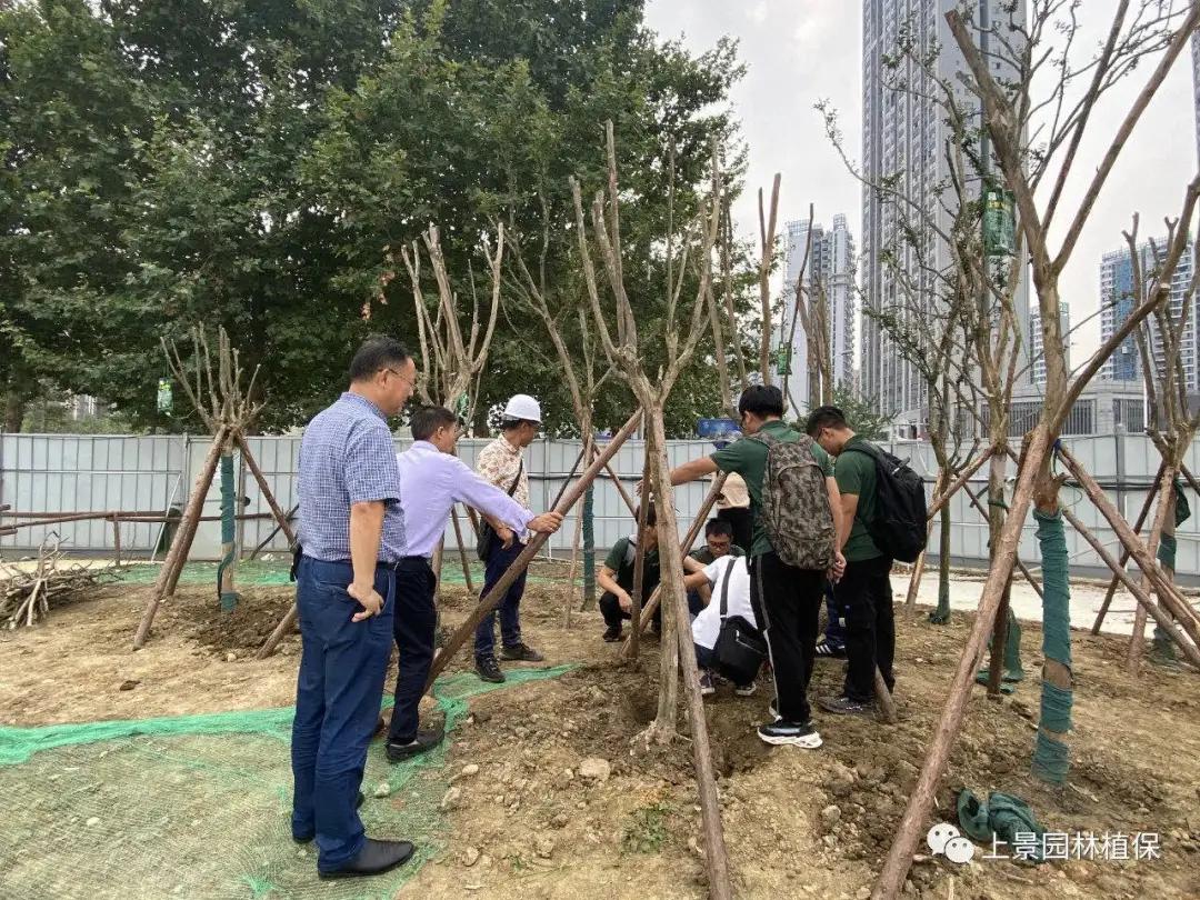 成都兴城zhua进“冲超组”，城北人民应该最开心