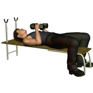 哑铃和器械健身哪个增肌快一些,哑铃和杠铃高效练二头