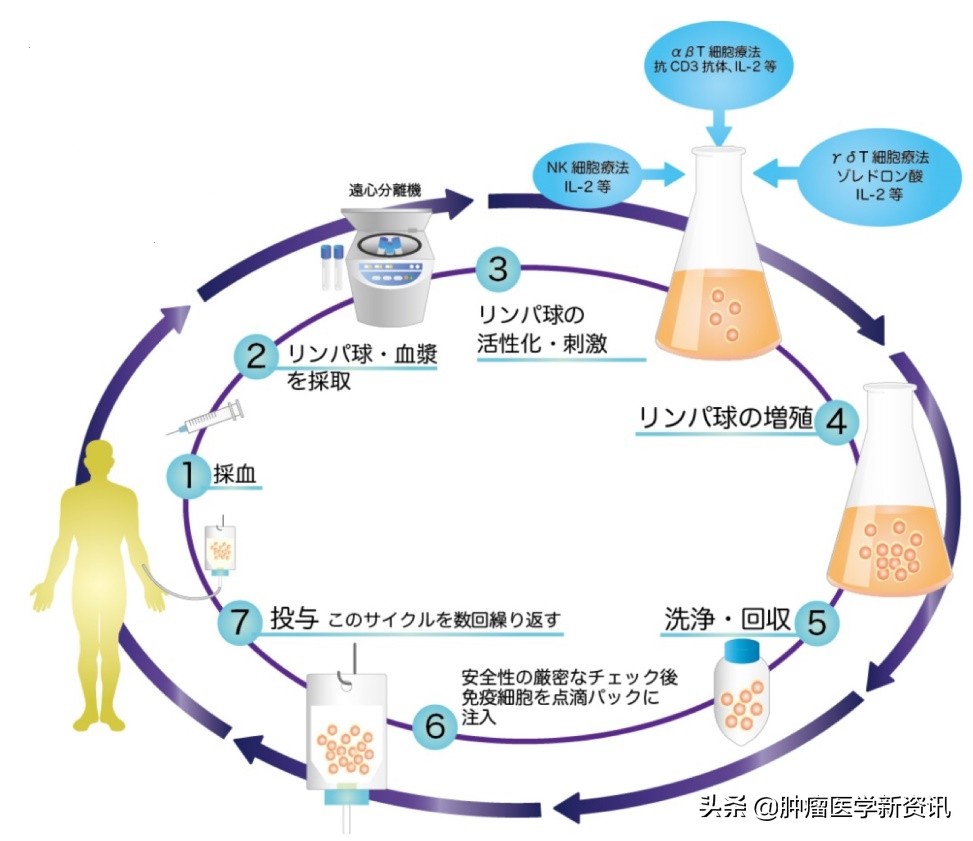 日本发明抗癌药免疫疗法,日本最新免疫治疗癌细胞