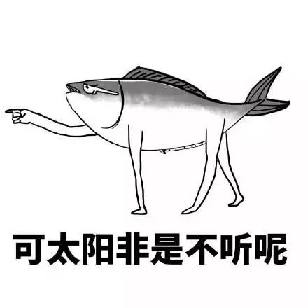 “快乐肥宅水2.0”——龙井峡漂流湿身趴！快来浪一“夏”