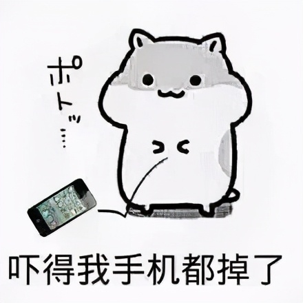 海外留学有哪些误区,海外留学机构骗局