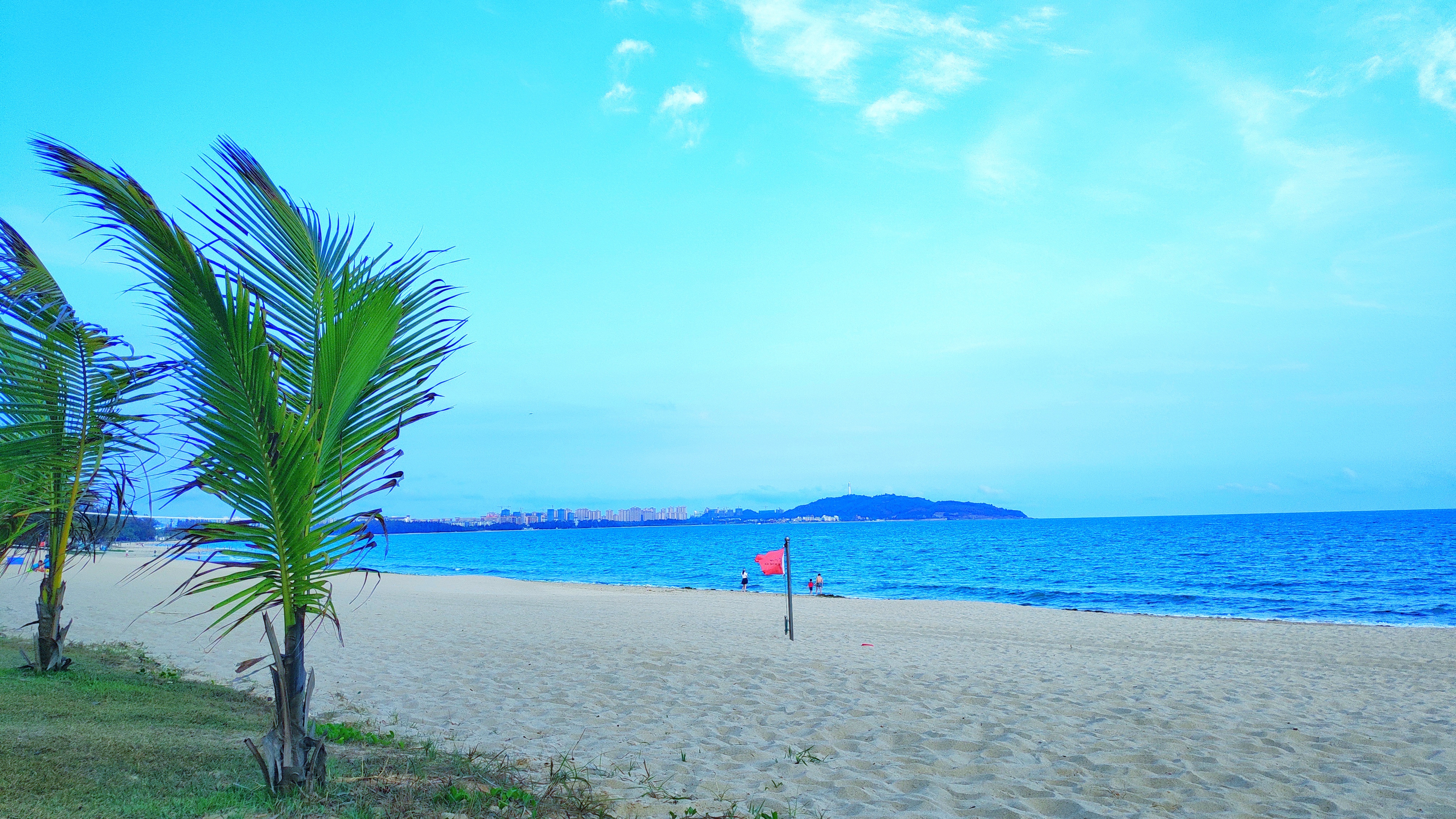 都是网红惹的祸,都是网红惹的祸完整版