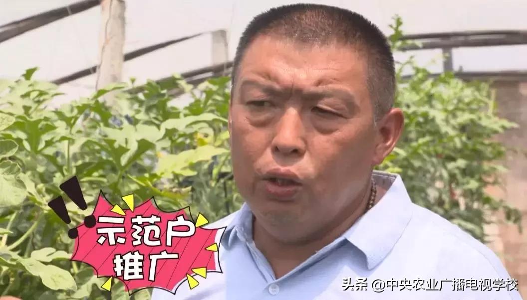 卖小西瓜技巧,卖西瓜小妙招