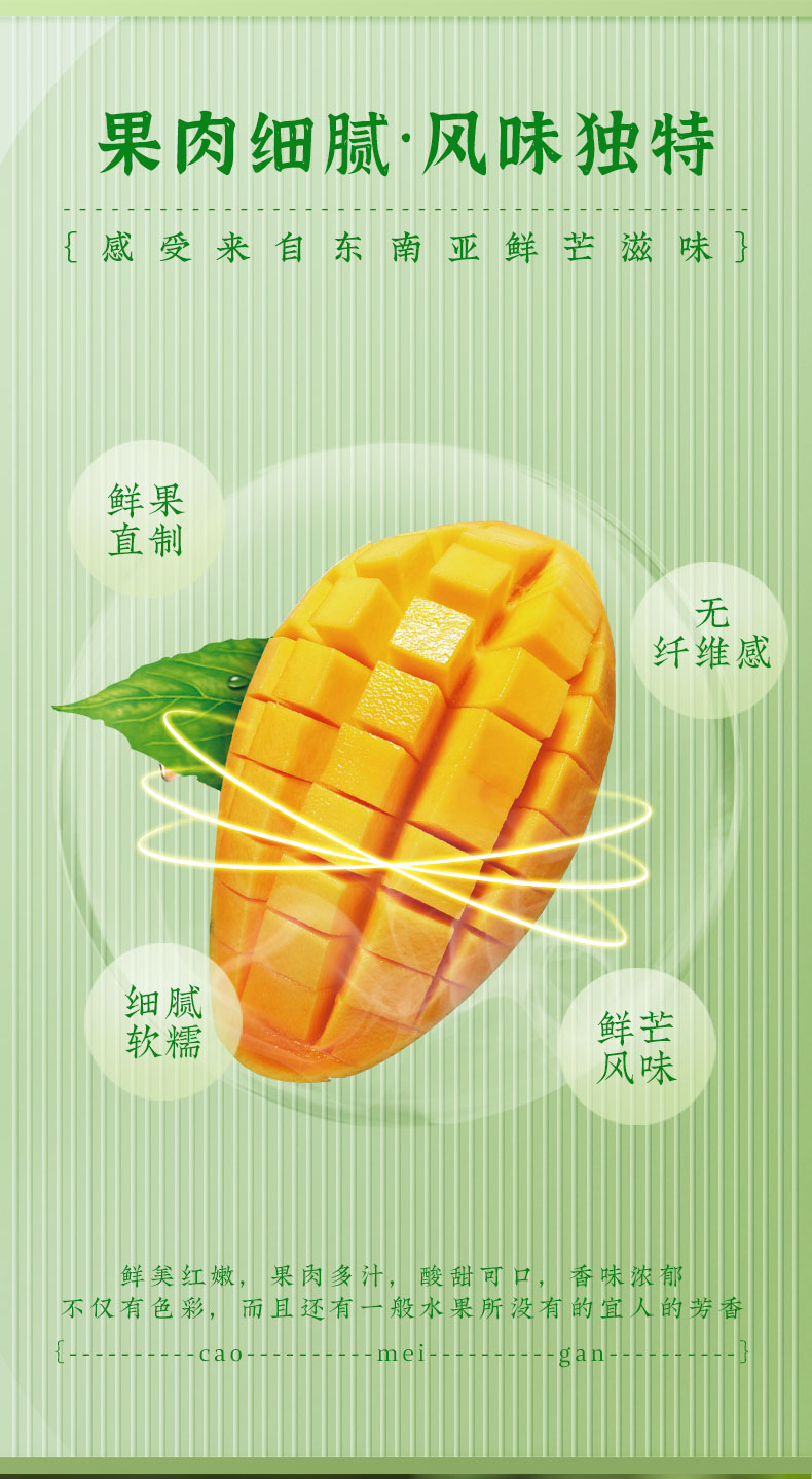 在芒也不放弃，时刻陪伴！芒果干果脯蜜饯OEM