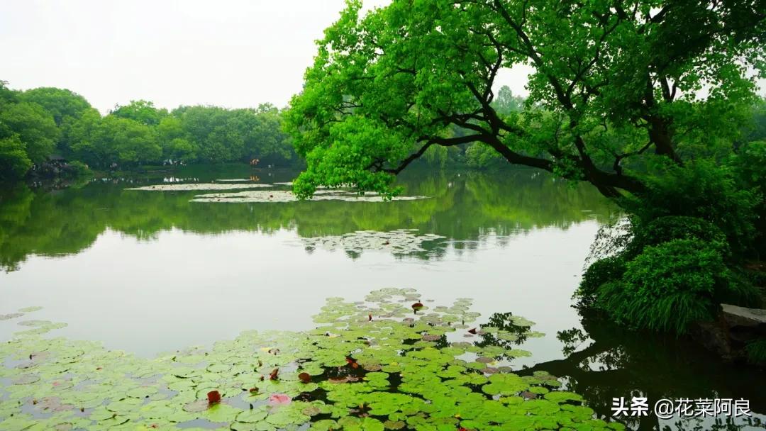 江南最忆是杭州,江南好最忆是杭州朗读