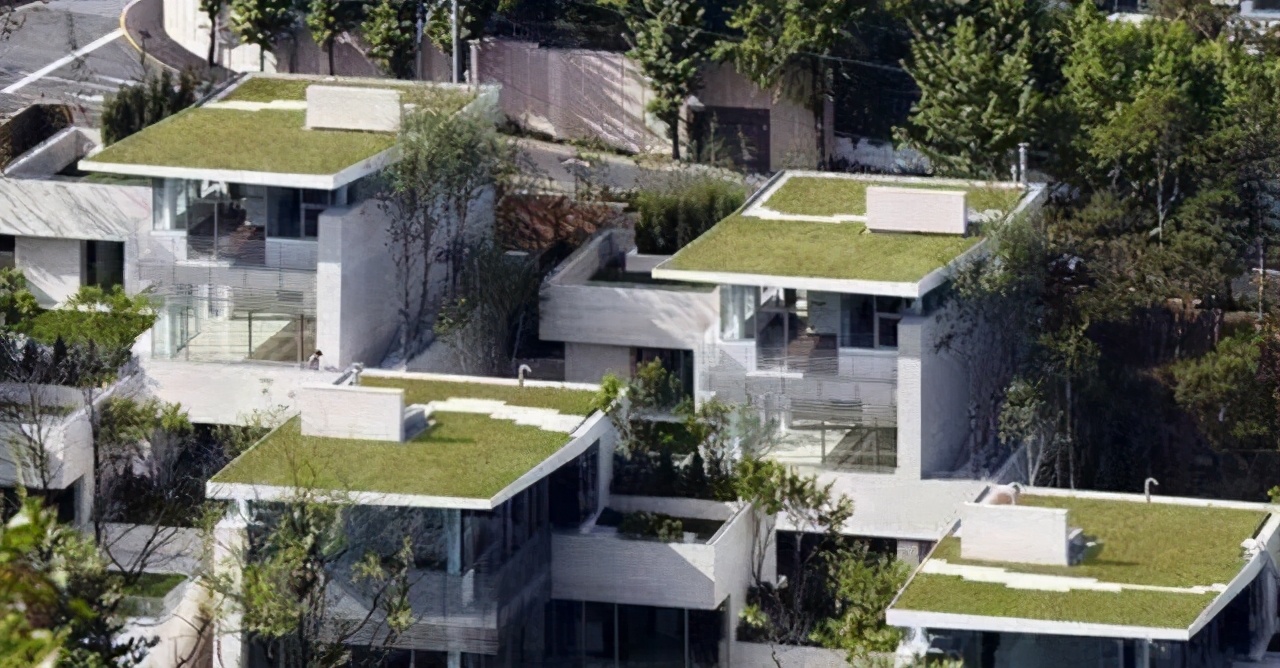 宋慧乔在韩国的森林别墅，连屋顶都种满了植物，仿佛住在深山野林