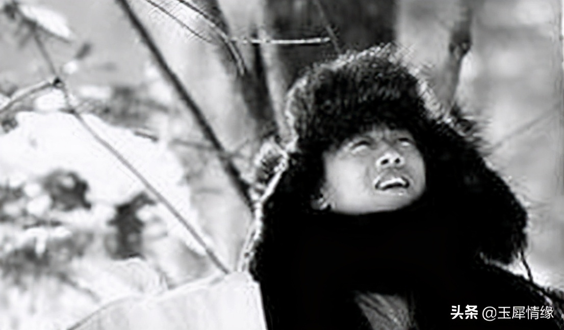 北风那个吹36集全,北风那个吹白毛女