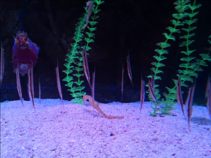 北京工体富国海底世界周一营业,北京工体富国海底世界旅馆