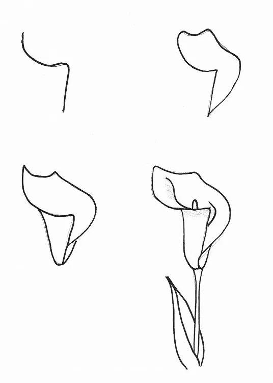 白描各种花朵,花朵白描图片大全大图