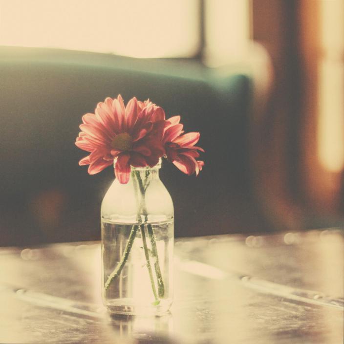 为什么要努力挣钱视频,为什么要努力挣钱最好的回答