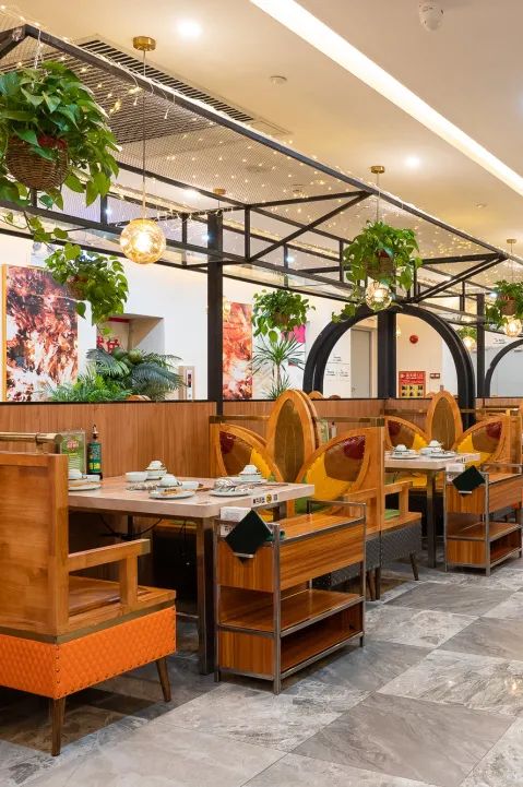 泰国杂交鸡,泰越杂交鸡