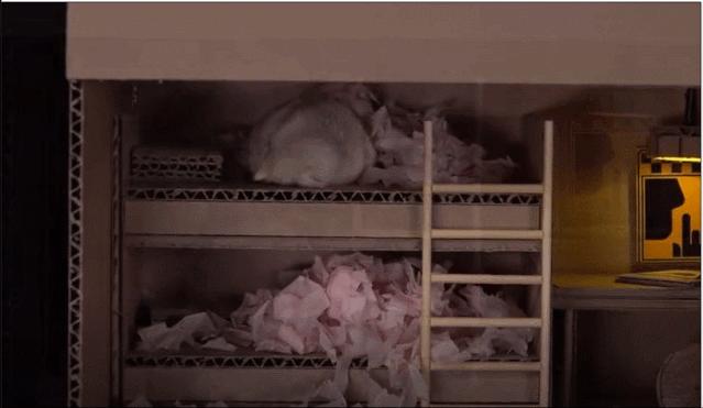 身价300万的仓鼠外网走红！住3层电梯豪宅，丰富娱乐，人不如鼠啊