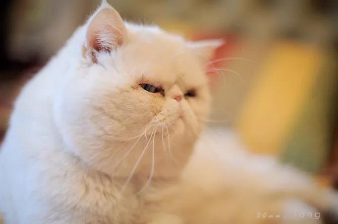 幽默的神回复哈哈,幽默的神评论和神回复