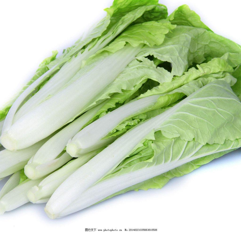 农村传统方法桑叶做豆腐,养命蔬菜汤制作方法