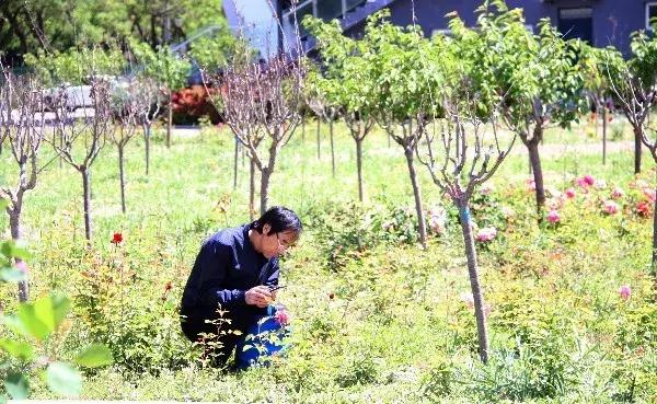 顺义城南体育中心室外场地开放,顺义南城体育馆怎么不开放