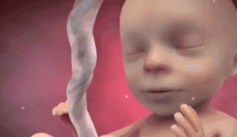 婴儿出生十天脐带未脱落且有血,婴儿脐带脱垂命悬一线