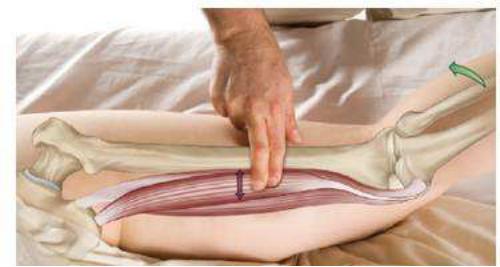 如何练出好看的腿型,腿型不漂亮怎么锻炼