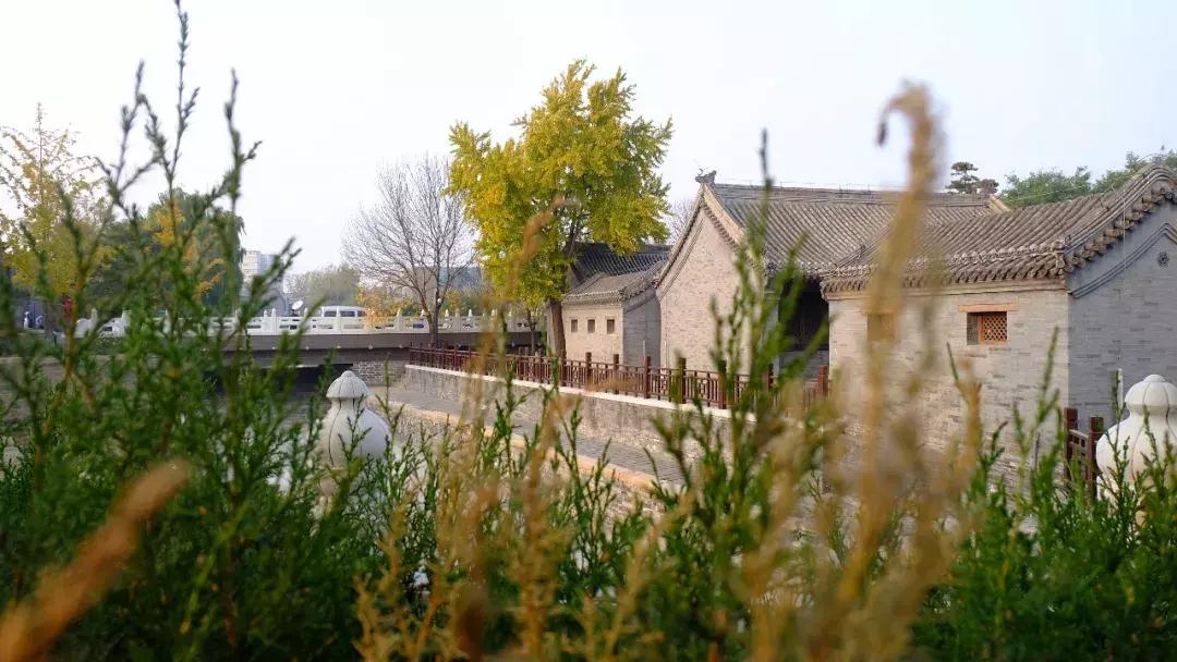 北京南锣鼓巷东一公里打卡地,北京南锣鼓巷旅游攻略必玩的景点