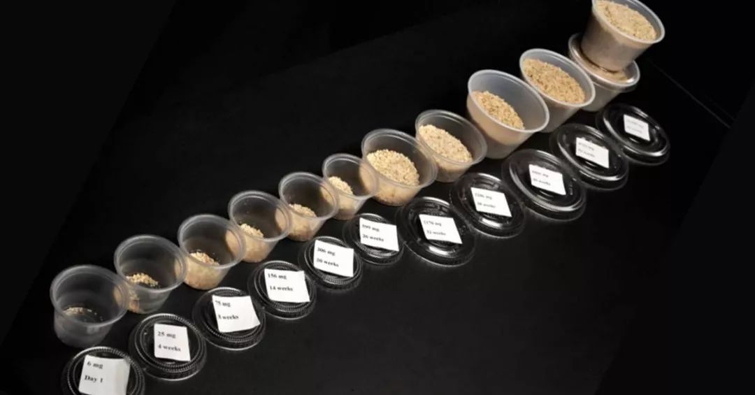 什么样的花生能引起过敏,花生过敏怎么急救