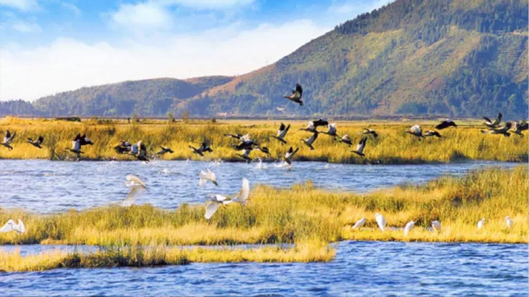 腾冲即将开通的航班,腾冲新开直飞航线