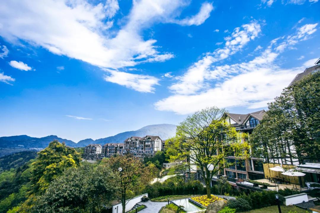 生活与态度,生活态度与健康