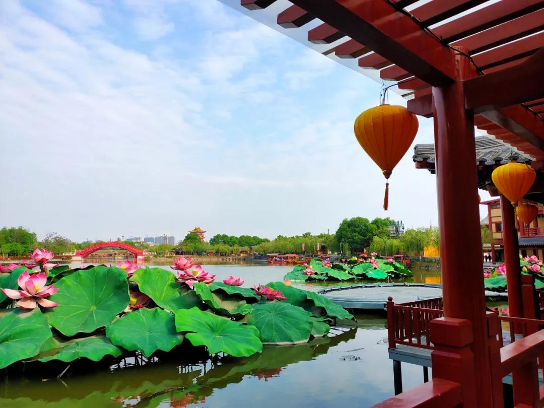 清明上河园终身年卡在哪里购买,清明上河园年票能升级终身票吗