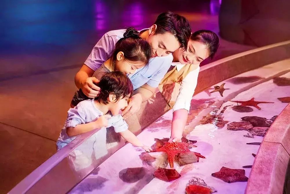 三亚亚特兰蒂斯玩什么,三亚亚特兰蒂斯游玩全攻略