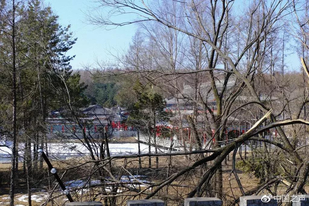 毁农田林地建房合法吗,数千栋违建别墅侵蚀保护区