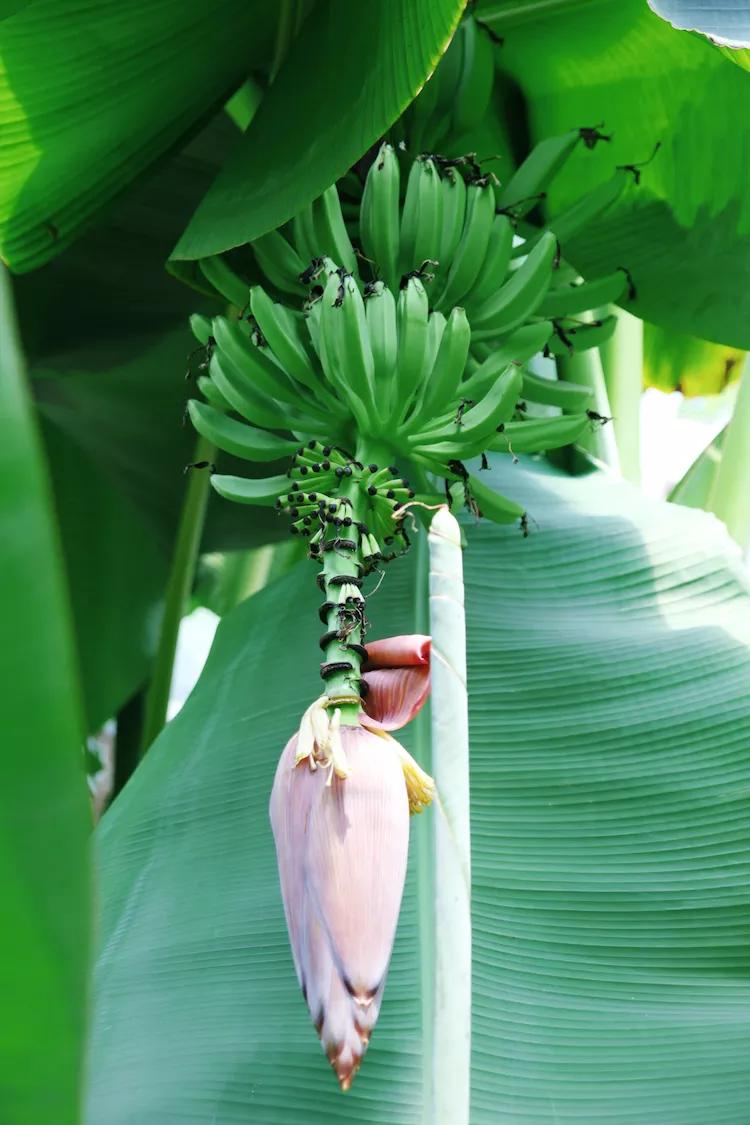 尼康入门单反,单反快速入门攻略