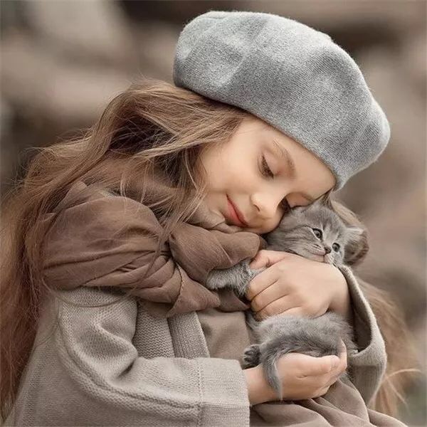 家猫和流浪猫相爱的故事,流浪猫和家猫的故事