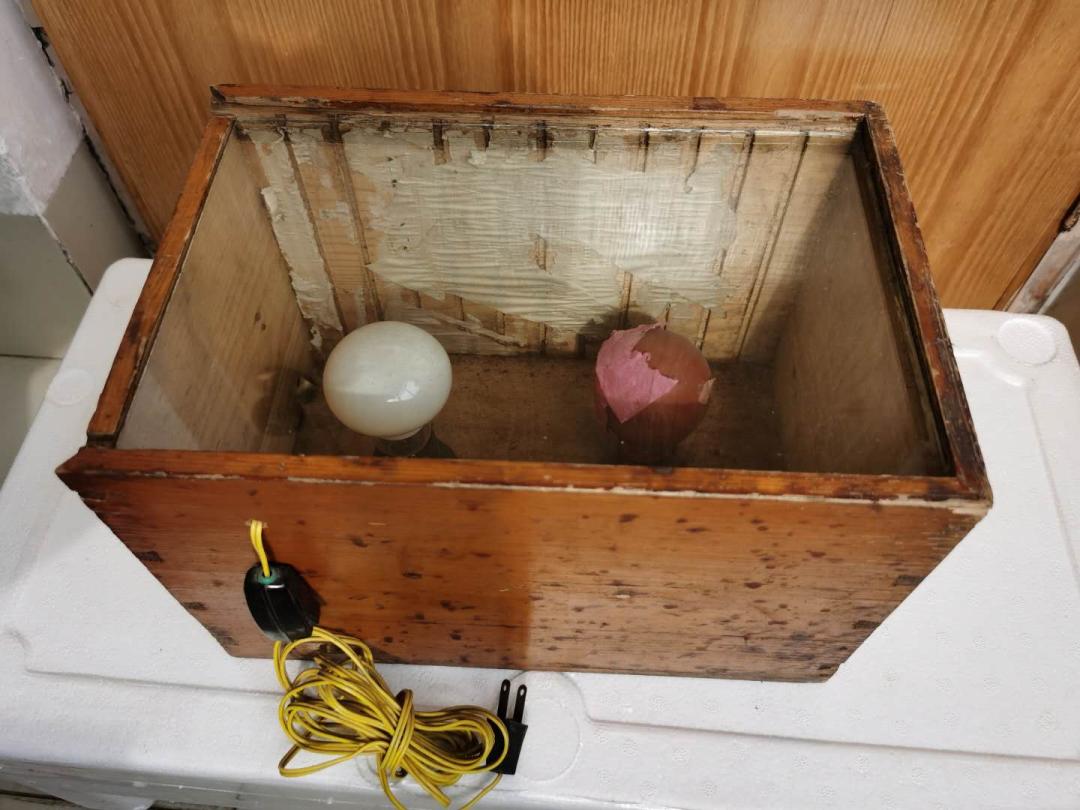 童年时光的摄影,拾贝图虫摄影作品