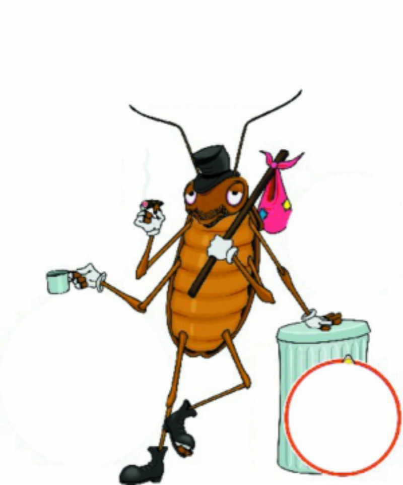 除蟑螂最有效方法彻底消灭蟑螂,家里有蟑螂灭蟑螂最好的办法