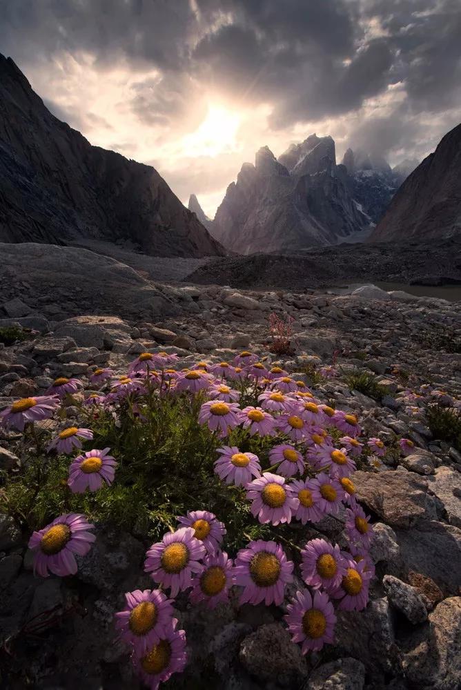 如何拍出有立体感的照片,照片怎么设计更有层次感