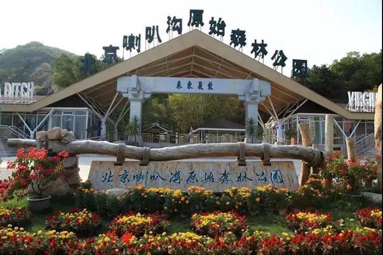 北京喇叭沟原始森林公园未解之谜,喇叭沟门原始森林最佳观赏区