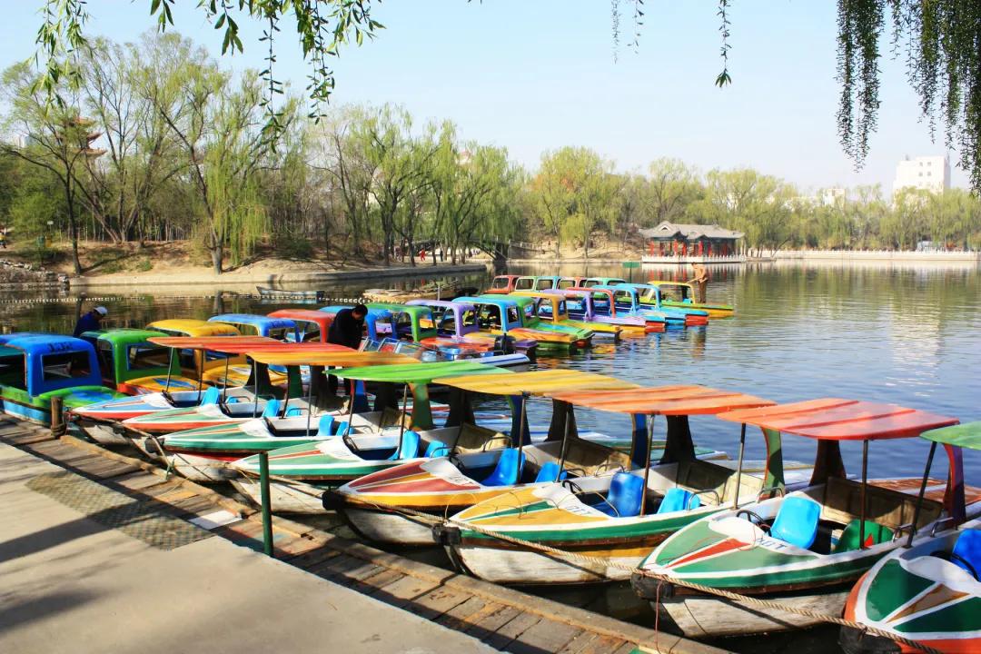 Co客领地|奇趣潮玩季—东山湖温泉度假村之旅火热招募中