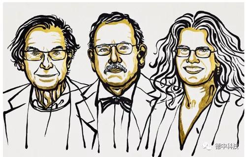 德国的大学教育到底怎么样？