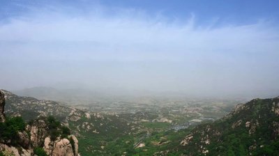 日照直播,日照绿茶价格表