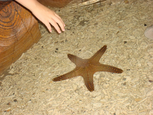 西安带孩子们最值得去的海洋公园,遛娃海洋馆打卡视频