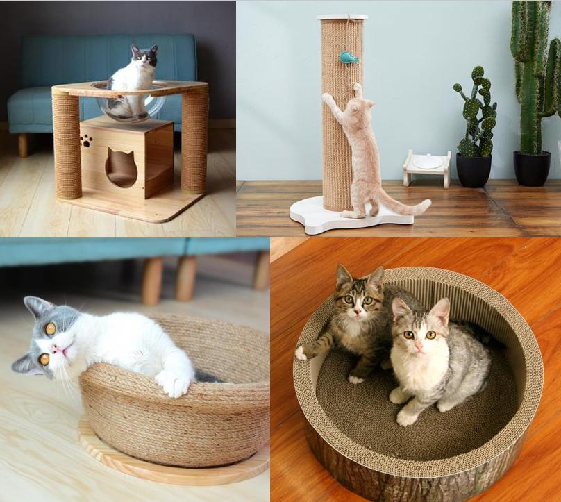 怎么教会猫咪使用猫抓板,释放小猫咪天性