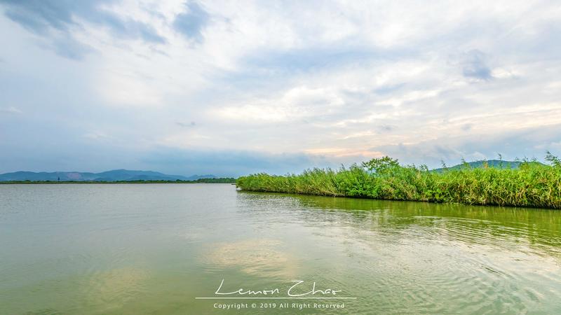 在德清下渚湖体验江南第一扳网捕鱼,水上竹筏漂流看夕阳,太美了