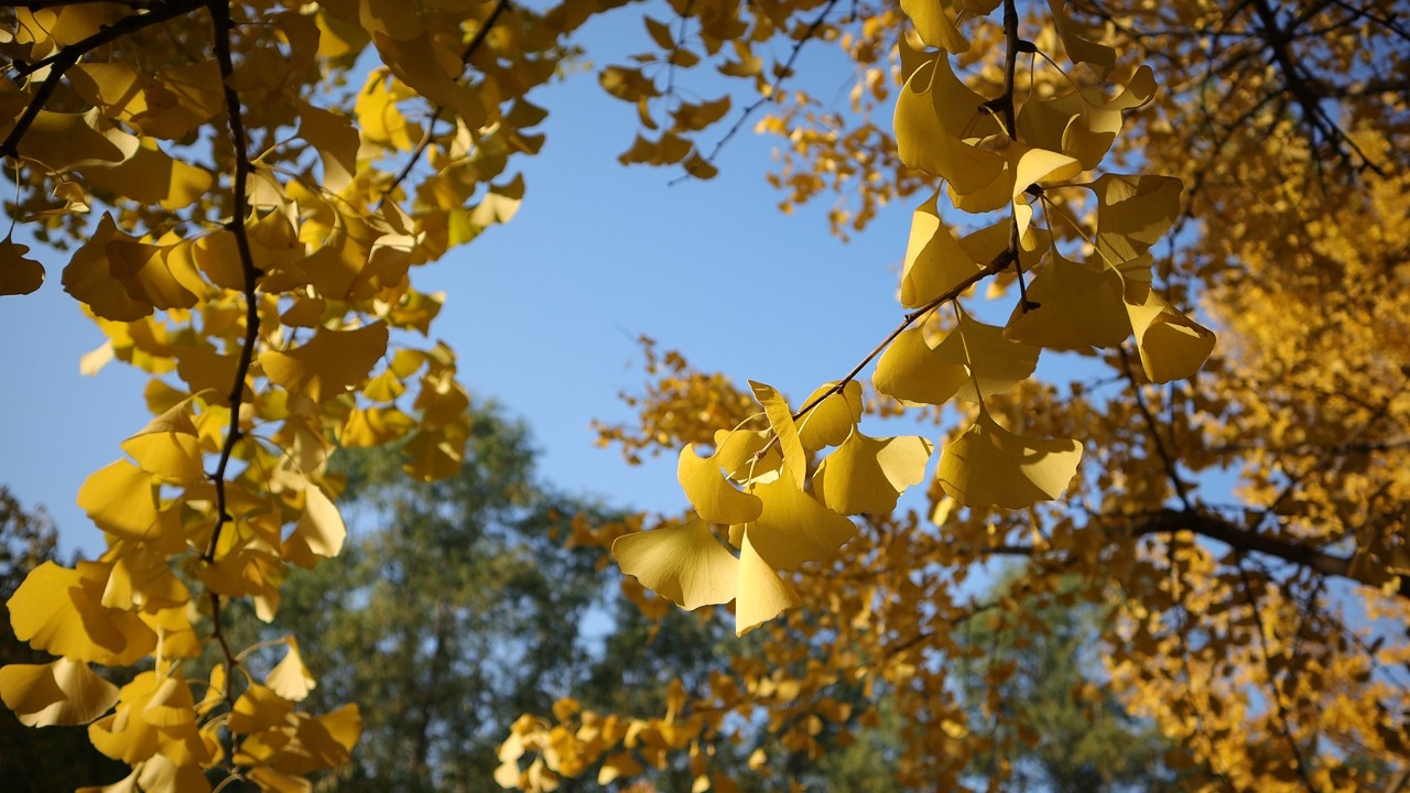 佳能apsc画幅eosr7已经开始测试了,eosm6markii教程