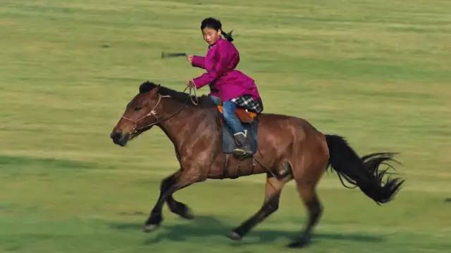 引导孩子价值观的纪录片,弘扬社会主义核心价值观的纪录片